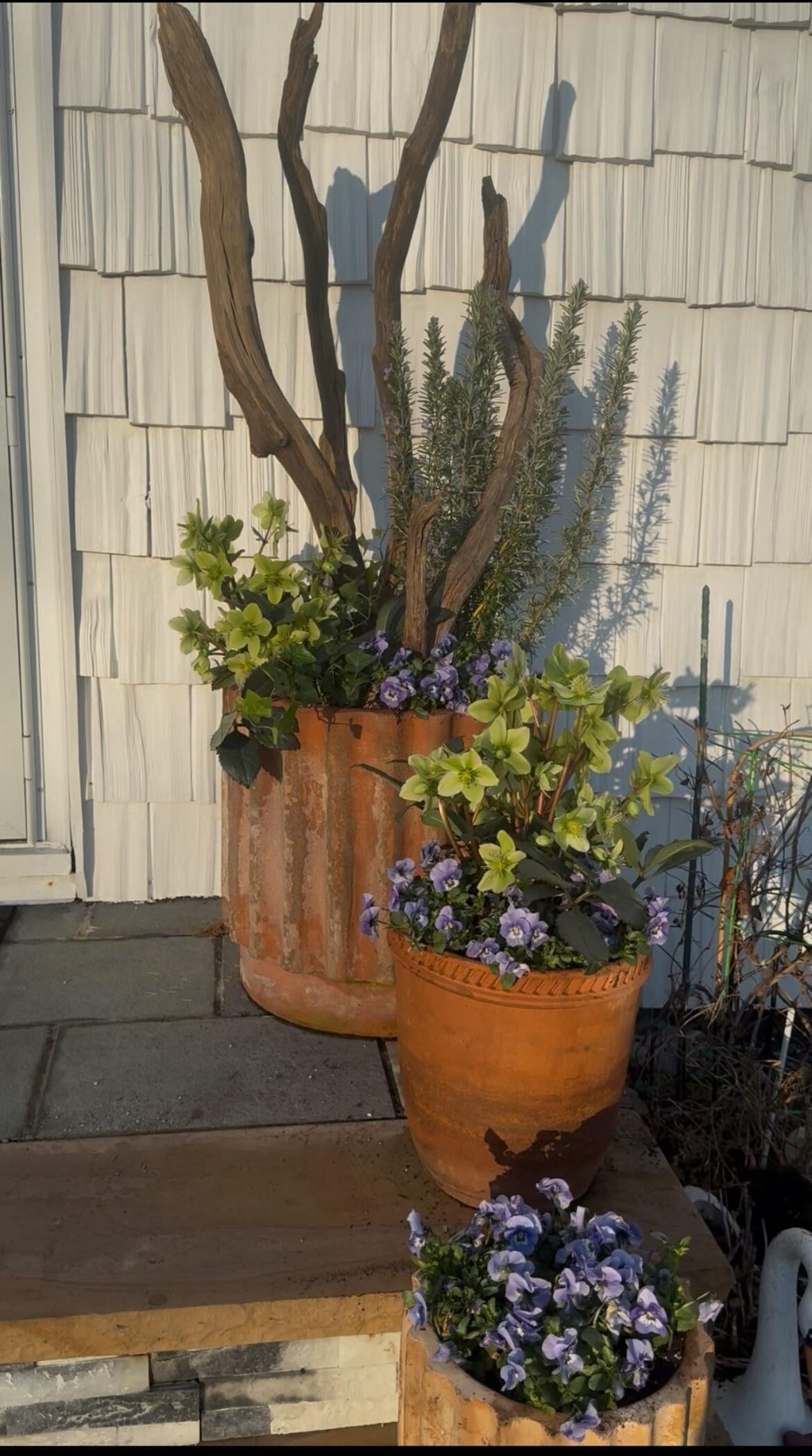 Just did my spring pots