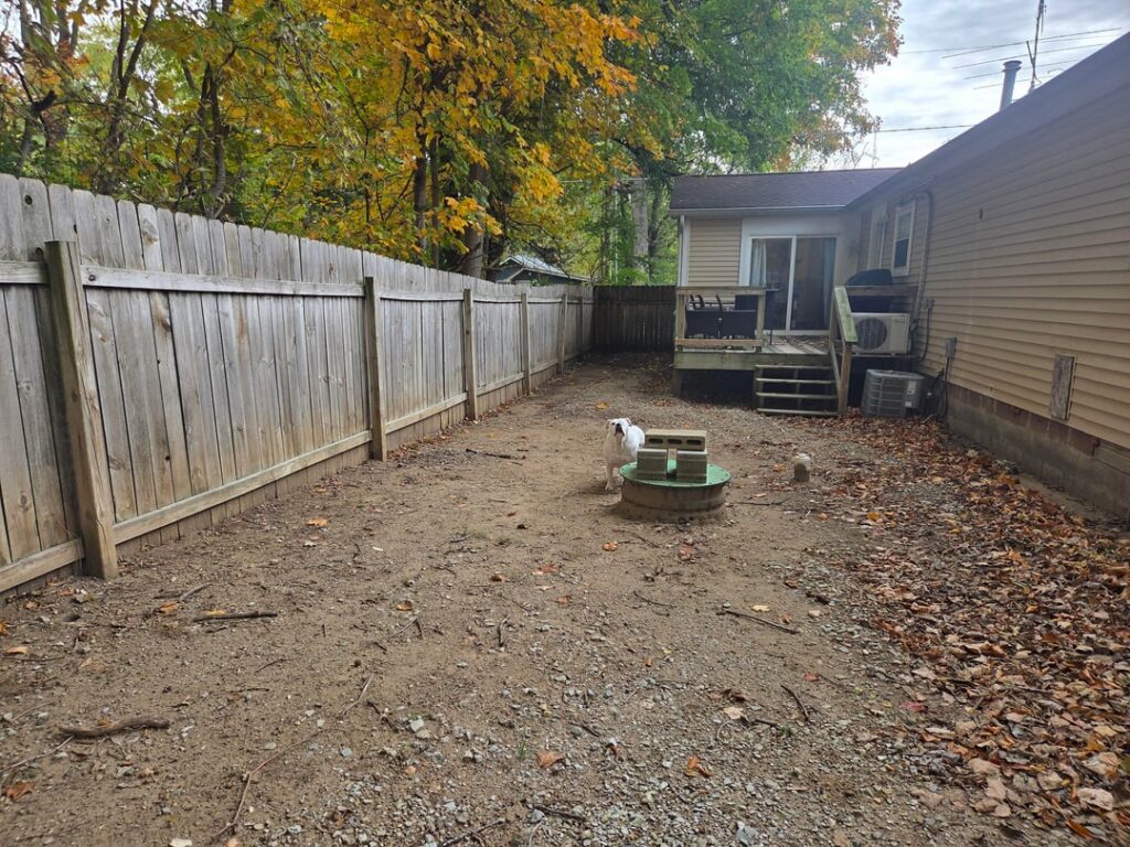 Bare backyard Bare backyard