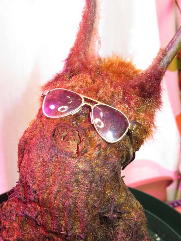 I've been growing this for years… it started looking back at me.