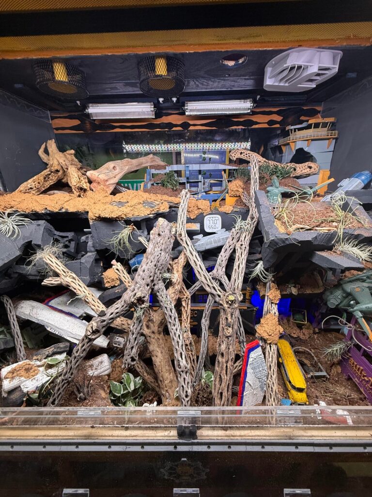 A question for the philosophers: is my leopard gecko enclosure technically a paludarium?