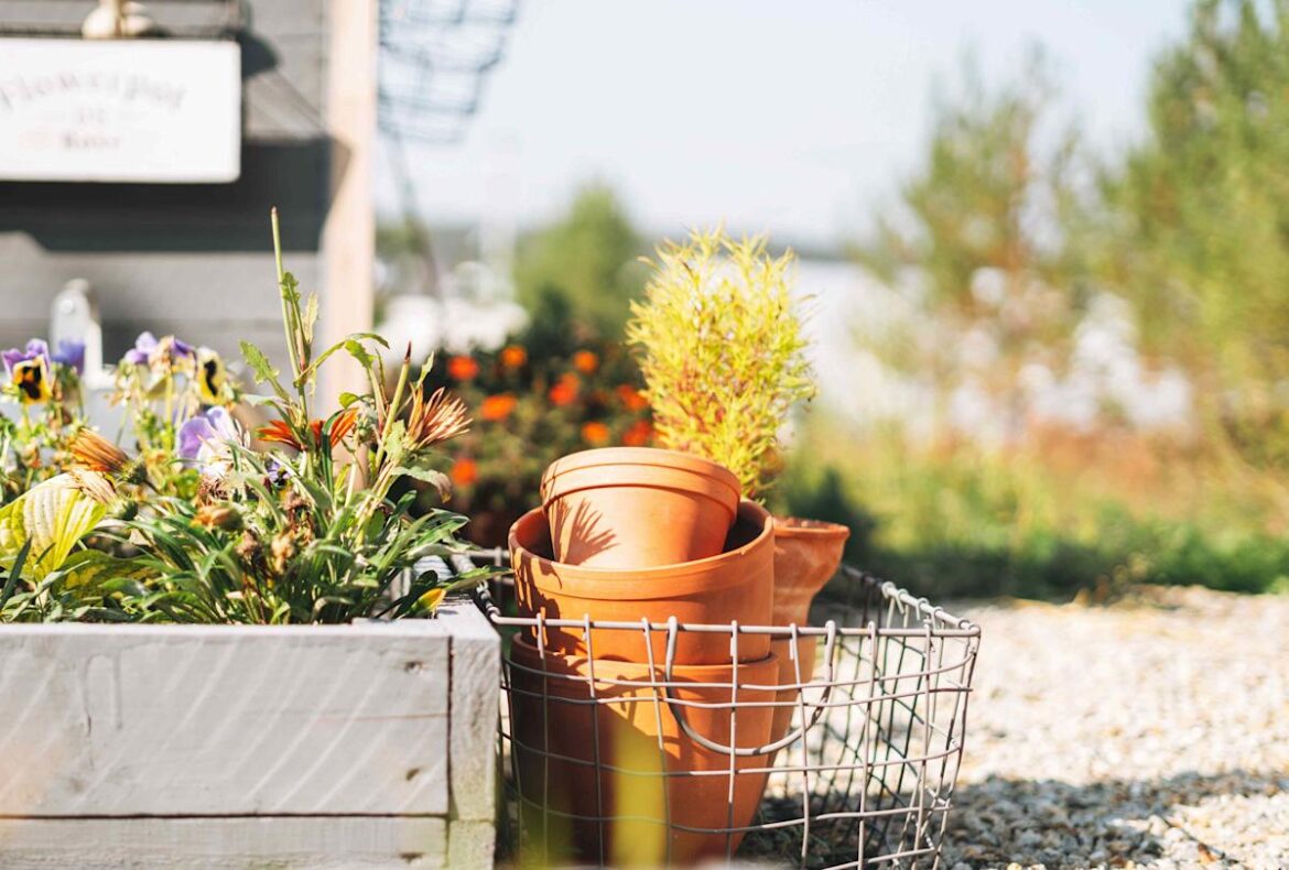 10 Smart Ways to Prep Your Raised Garden Beds Now for a More Productive Spring