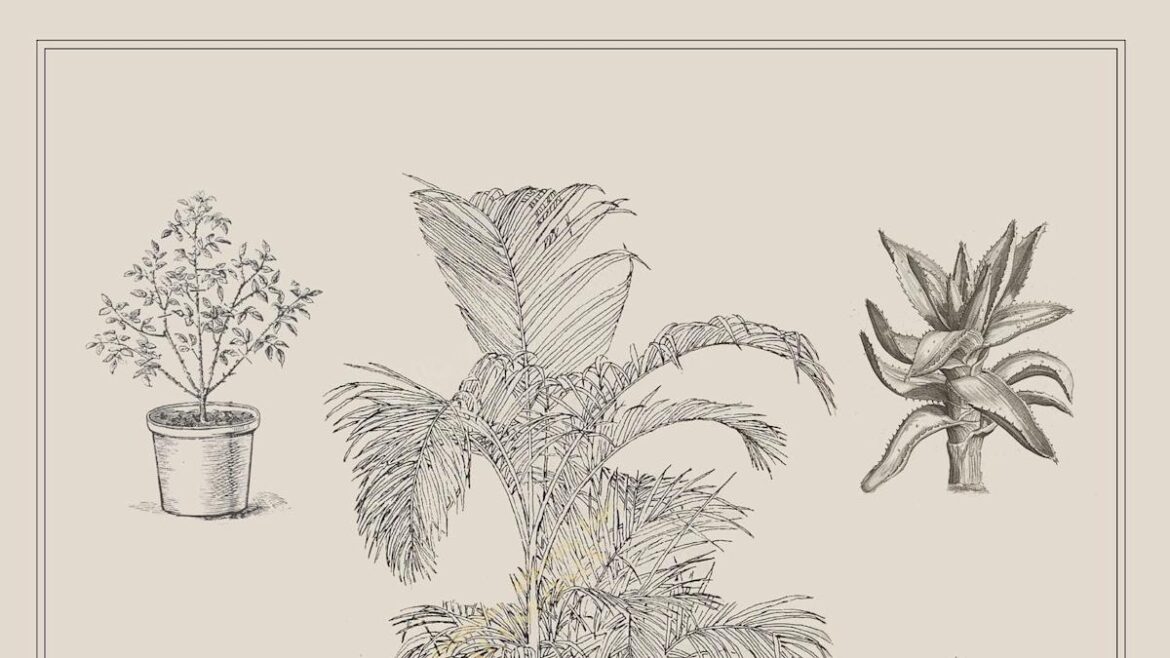 From the Archive: This 1977 Houseplant Advice Is the Secret to THRIVING Greenery House Beautiful