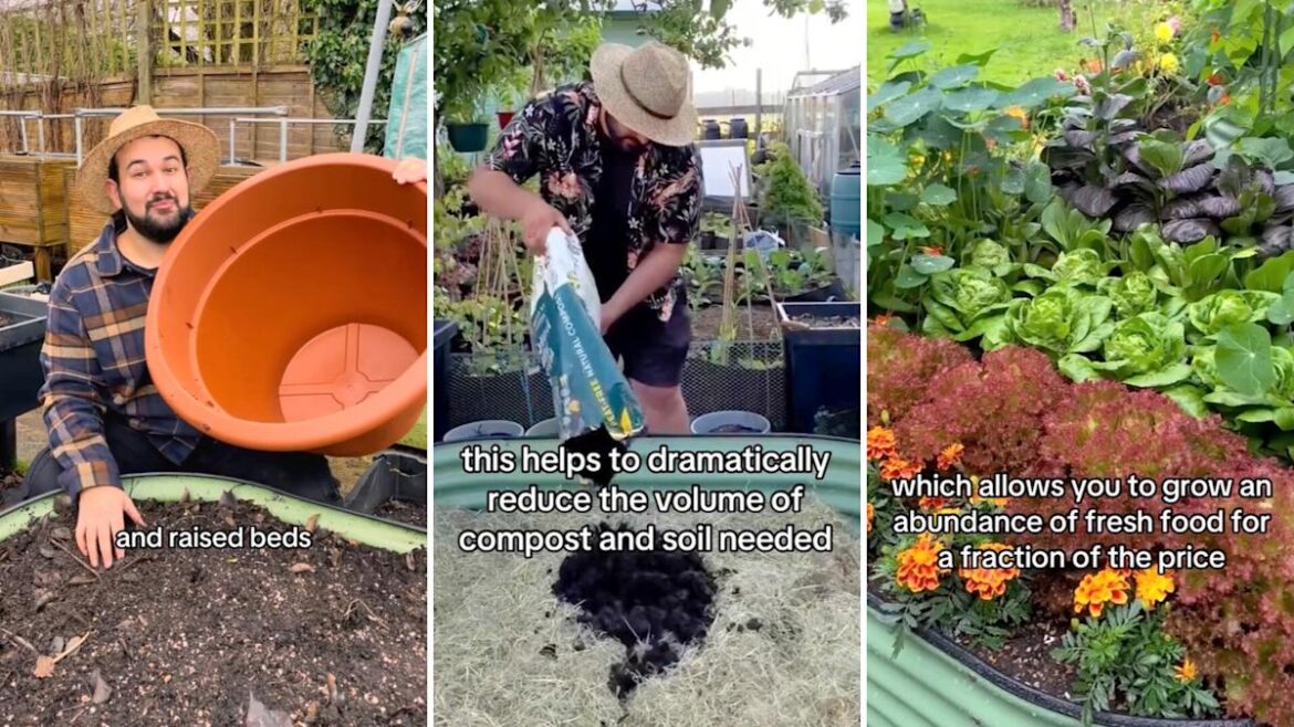 Garden expert shares ancient technique that can save money on soil and fertilizer Garden expert shares ancient technique that can save money on soil and fertilizer