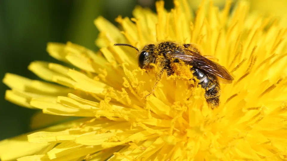 Photo by NurPhoto on Getty Images