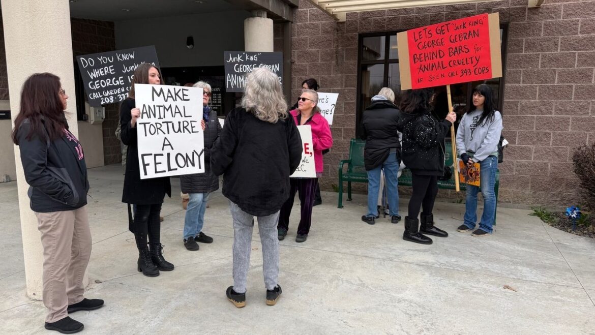 Garden City protest targets lenient penalties for animal abuse and cruelty cases station icon