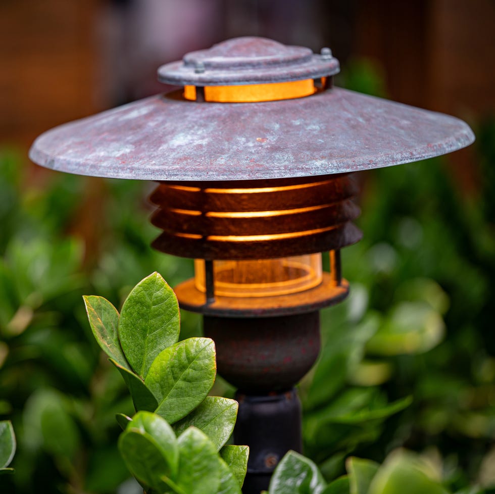 outdoor lamp among green foliage