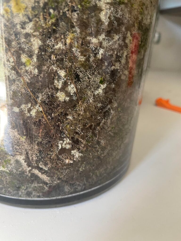 Not sure what these white dots are