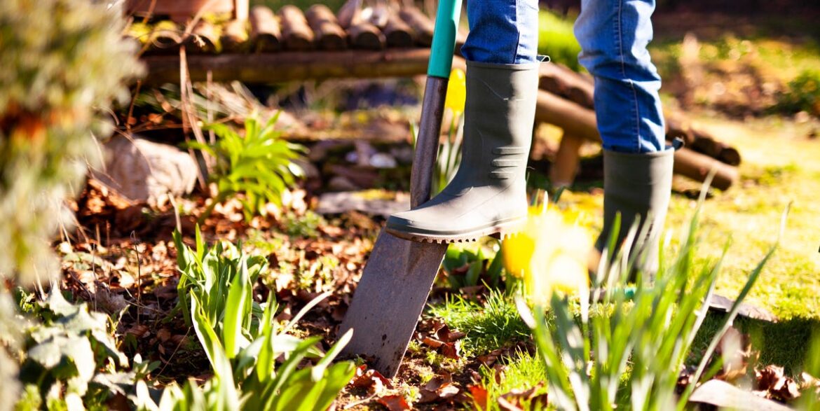 The 6 UK Soil Types — And What Grows Best in Each The 6 UK Soil Types — And What Grows Best in Each