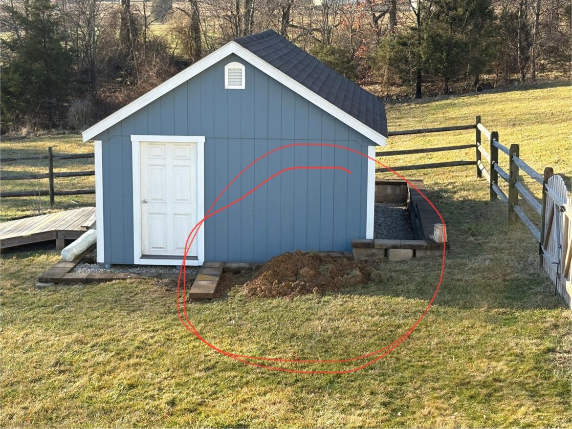 Best option for deep shade/average moisture (Northeastern MD)