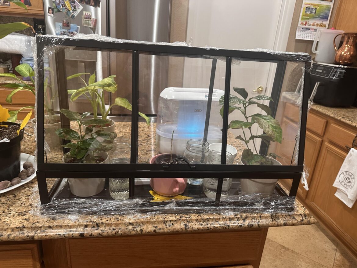 Thoughts on my humidity set up? Thoughts on my humidity set up?