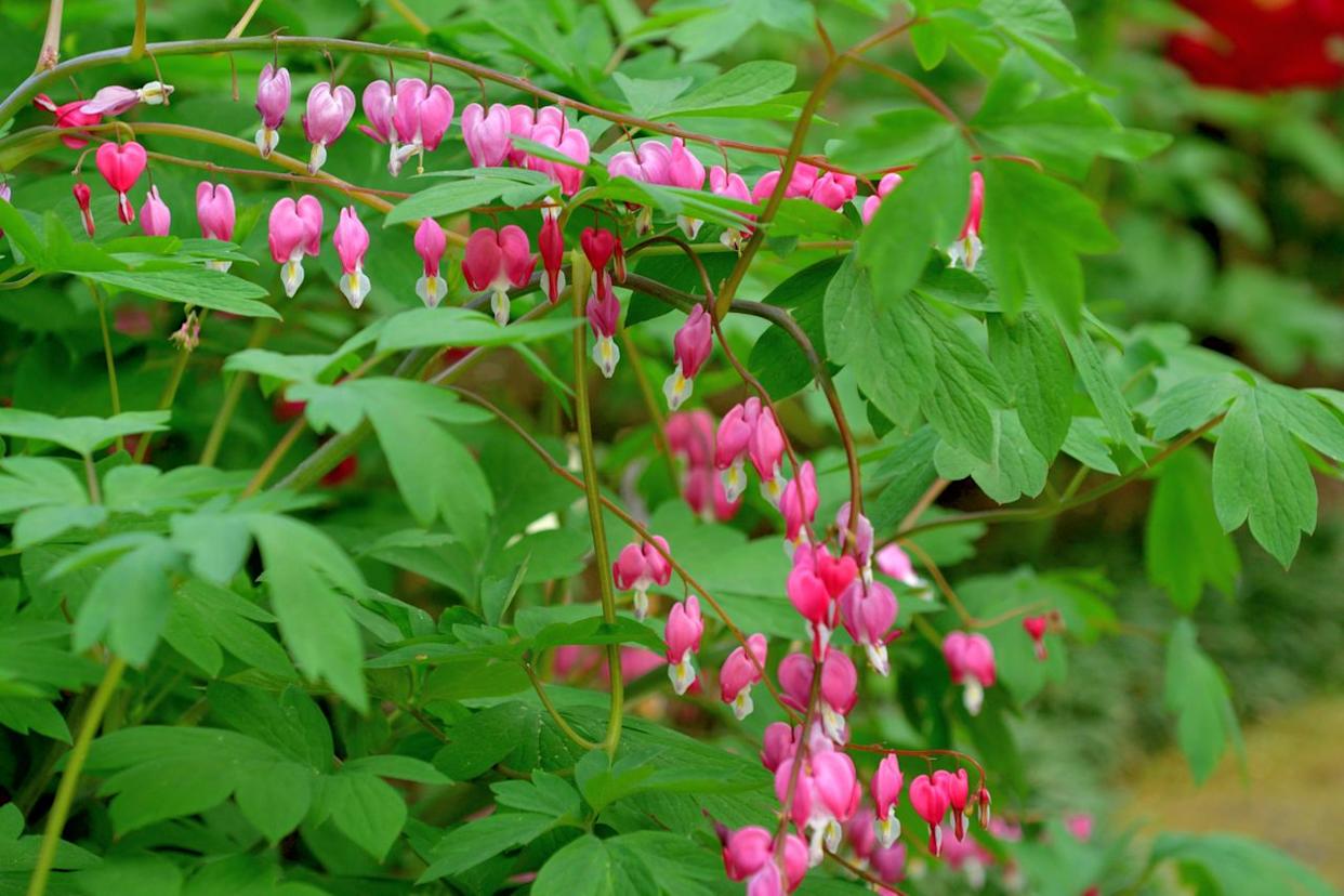 Credit: Getty Images