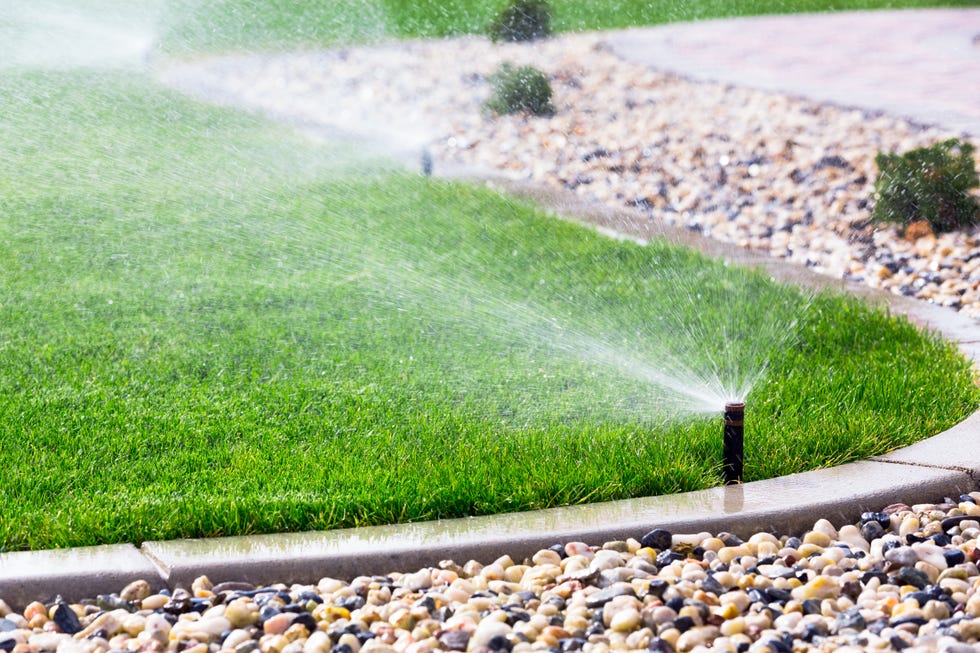 Sprinklers Sprinklers