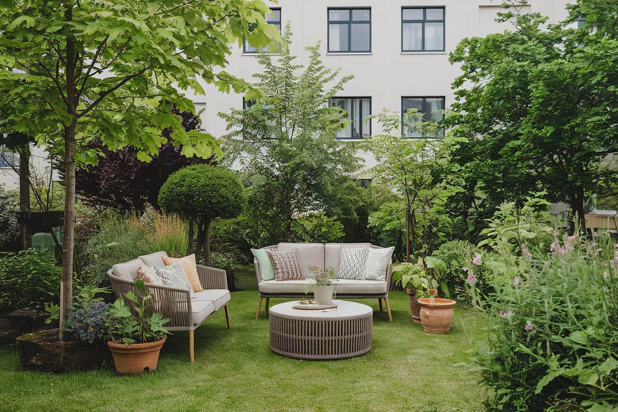 green summer garden with sofa and coffee table