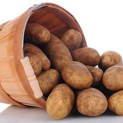 Simply Seed&trade; - Russet Burbanks - Naturally Grown Seed Potatoes - 5 Lbs - Whole Potatoes- American Raised