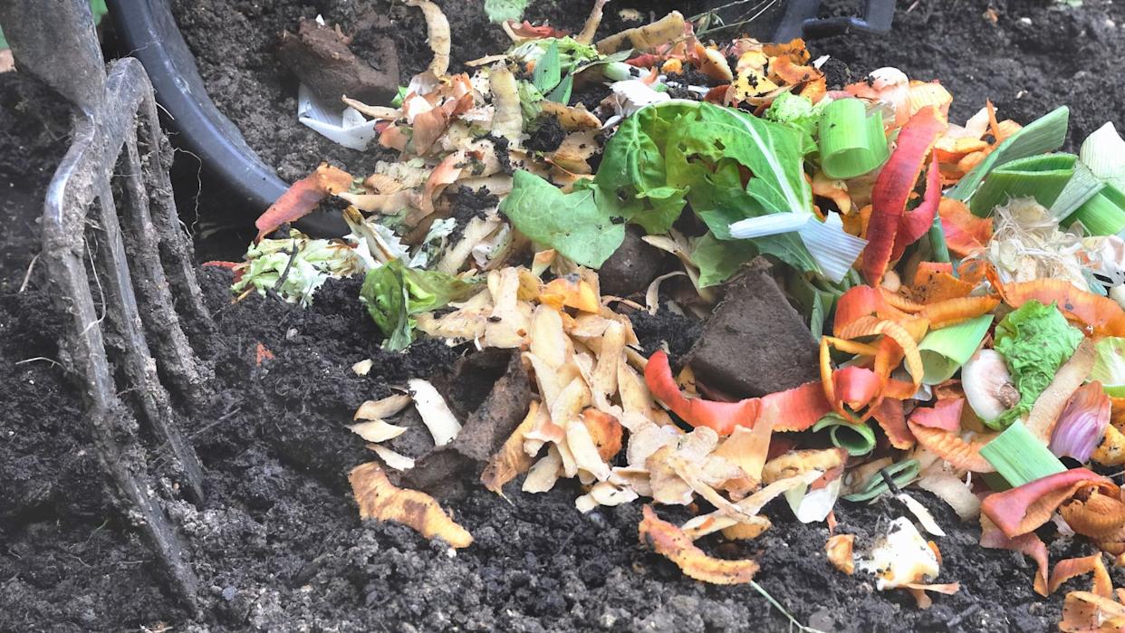a pile of composting kitchen scraps.
