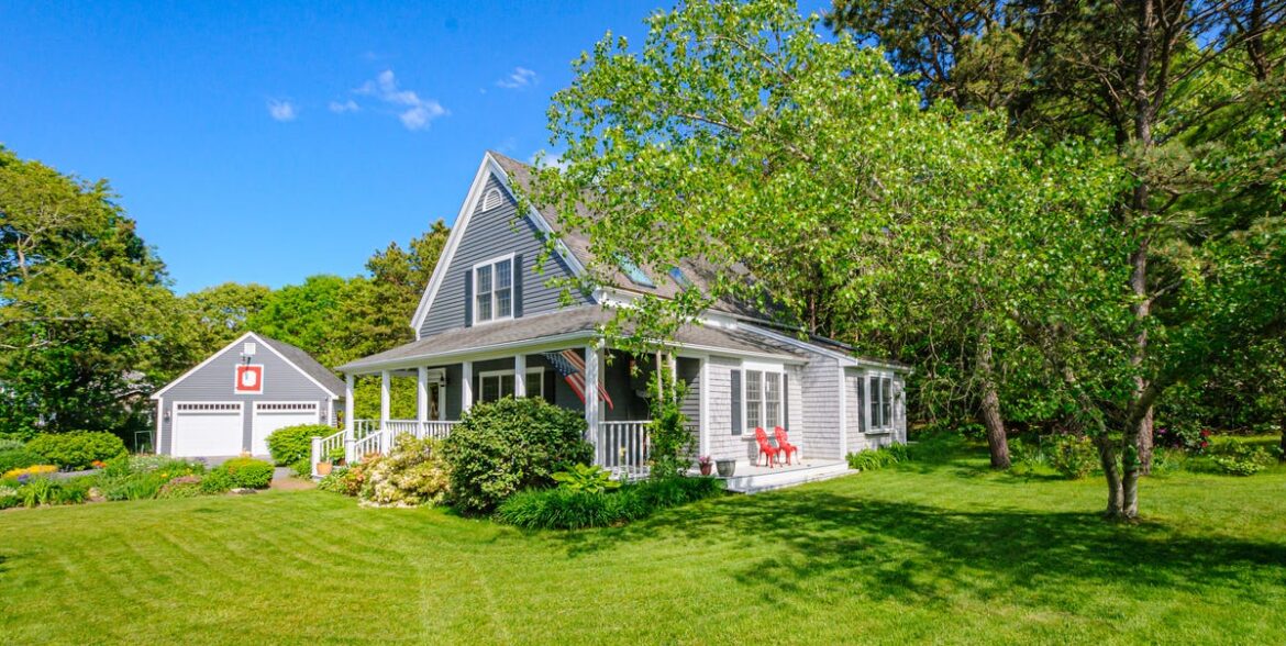 Clover Lawn Pros and Cons—Is It Better Than Grass? Clover Lawn Pros and Cons—Is It Better Than Grass?