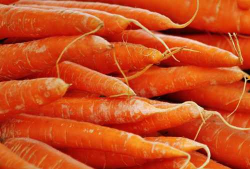 carrots 500