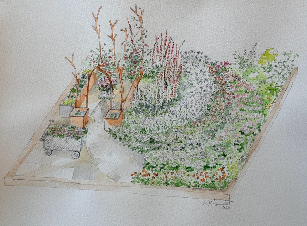 garden layout featuring various plants and pathways