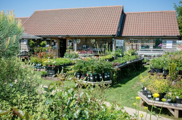 Kiln Farm Nursery in Suffolk 