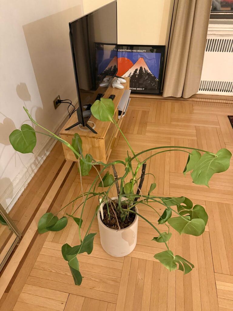 Help needed