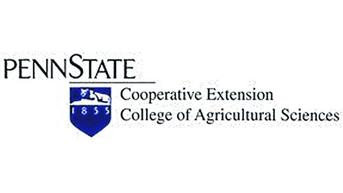 Lean to grow vegetables in ‘Learn More! Grow More!’ sessions Lean to grow vegetables in 'Learn More! Grow More!' sessions