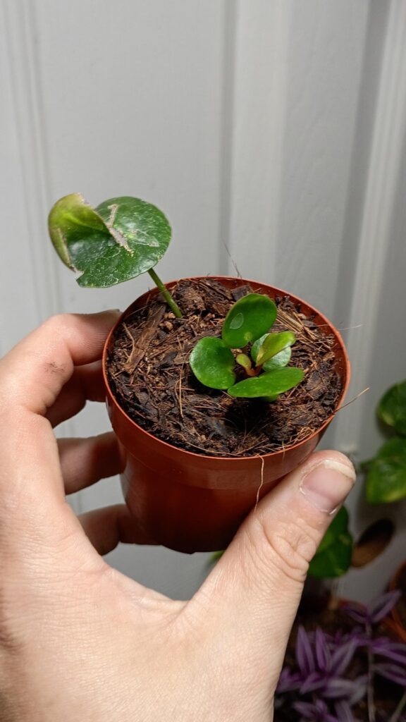 They grow up so fast. 🥲