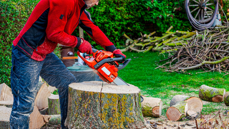 Man using chainsaw to cut tree in backyard