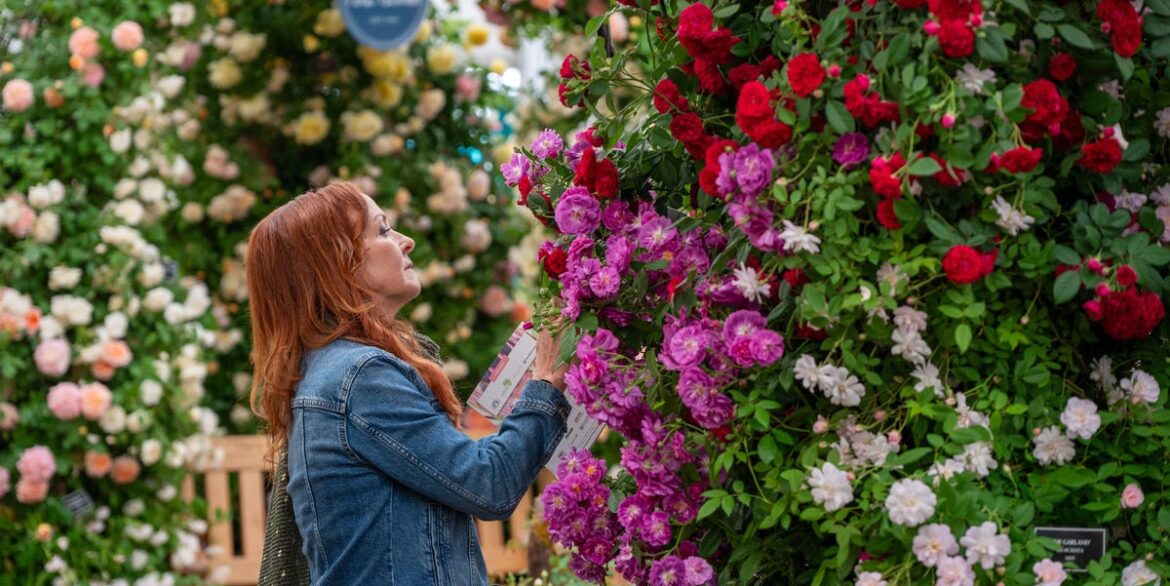 RHS Chelsea Flower Show 2026: Dates, Tickets, Show Gardens