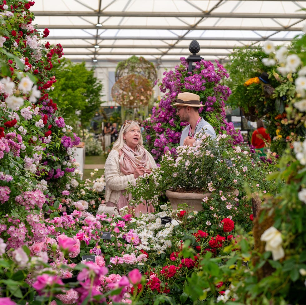 london, england may 19: members of the public mingle at rhs chelsea flower show on may 19, 2025 in london, england. running from may 20 24, the annual event by the royal horticultural society sees garden designers competing to earn coveted bronze, silver or gold medals with their imaginative landscapes and floral displays. (photo by ben montgomery/getty images)