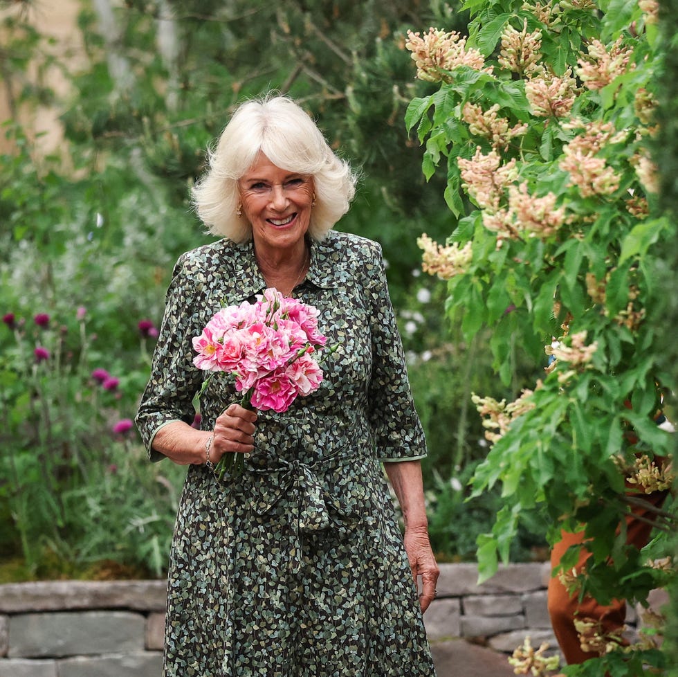 britain's queen camilla holds a bouquet of "the king's rose" of david austin roses, as she attends the preview day at the rhs chelsea flower show, in london, on may 19, 2025. (photo by toby melville / pool / afp)