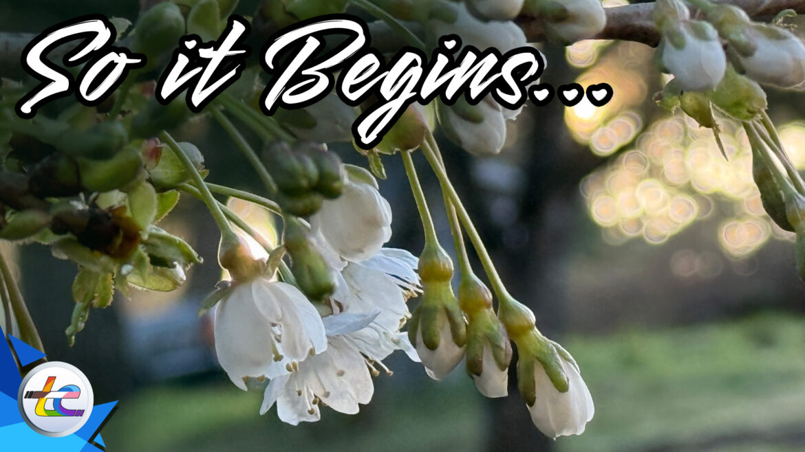 Transport Evolved Chicken and Garden Update: The Blooms Are Starting!