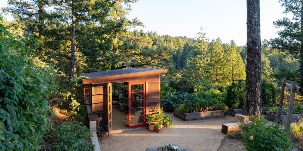 This Cozy Greenhouse Tucked into the Redwoods Is Designed to Nourish Plants and the Soul This Cozy Greenhouse Tucked into the Redwoods Is Designed to Nourish Plants and the Soul