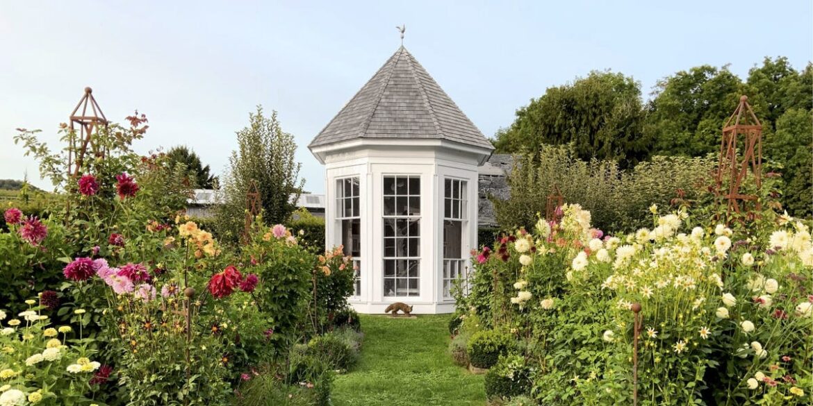 How to Grow and Care for Sweet Peas, According to Christopher Spitzmiller