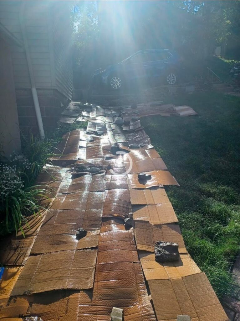 Last Summer's year 2 progress