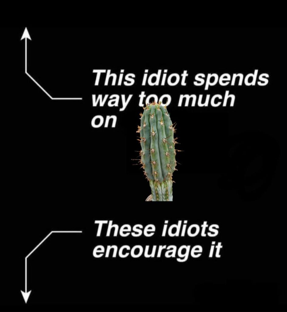 Truth