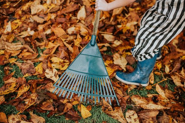 Close-up of a child wearing wellington boots raking a large pile of fallen autumn leaves