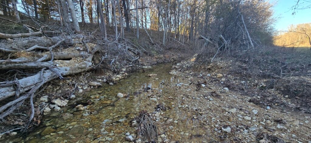 Is this suitable location for a little pond?