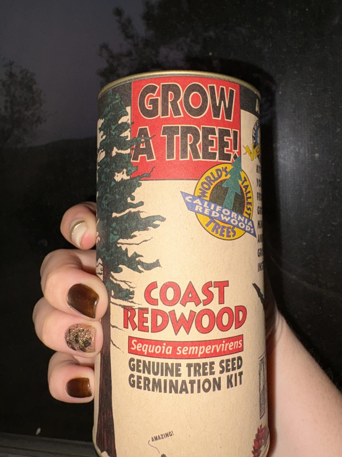 Anyone tried this? Is it even possible?