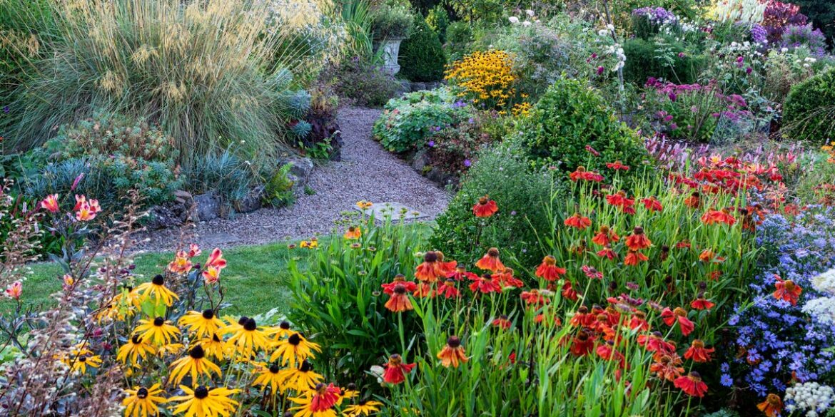 8 Hardiest Perennials for a Low-Maintenance Garden 8 Hardiest Perennials for a Low-Maintenance Garden