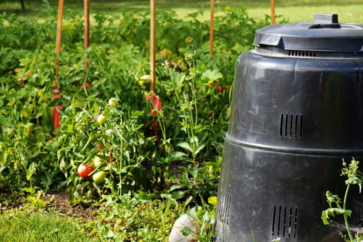 Home composting workshops on offer to Warwickshire gardeners