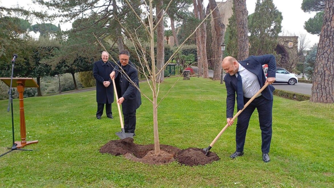 Tree planted in Vatican Gardens sign of responsibility towards creation
