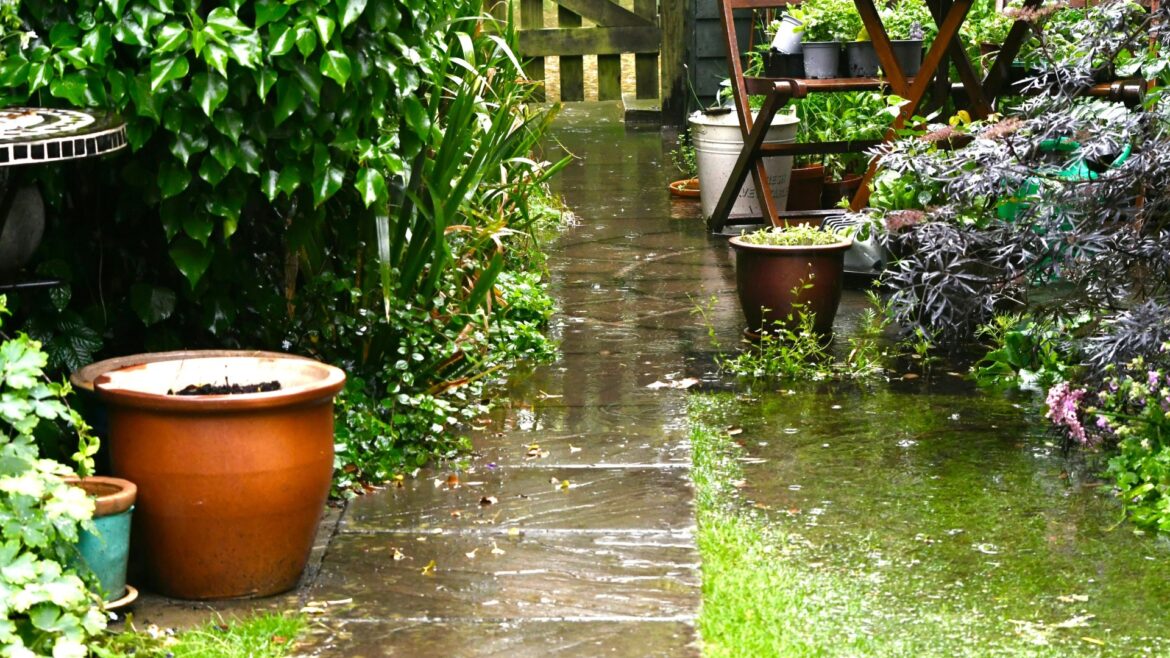I'm a lawn expert - my six tips will revive your waterlogged garden ahead of spring