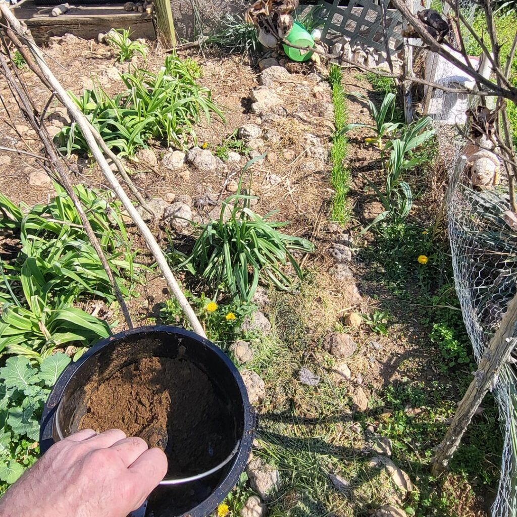 SOMEBODY STOP ME!!!!