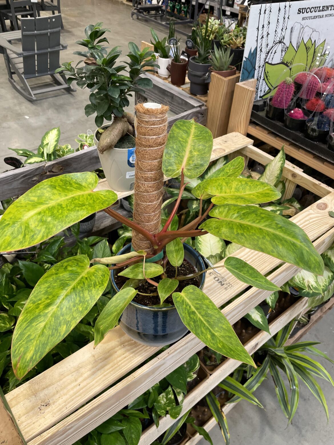 Anyone have an ID on this?