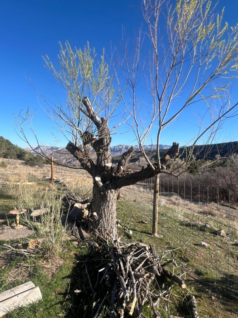 Worth saving?