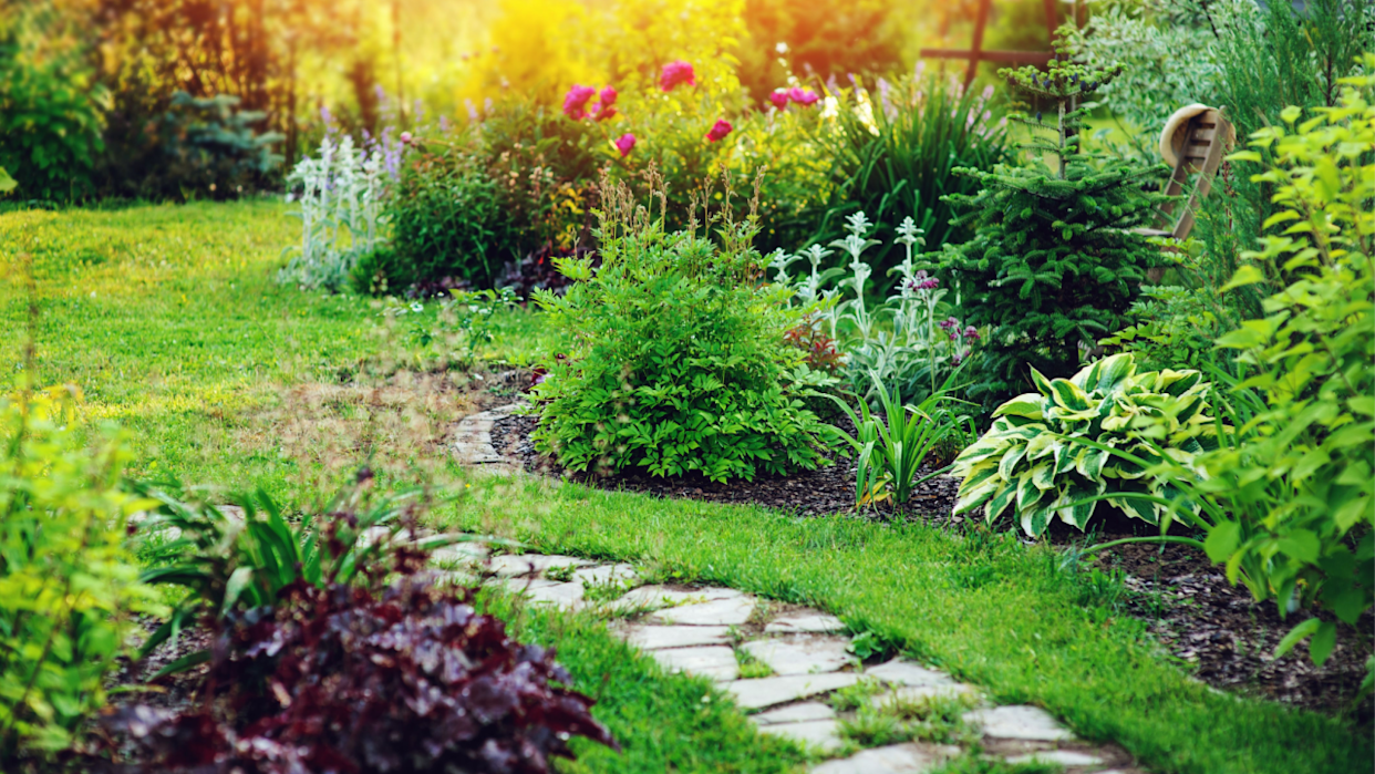 beautiful summer cottage garden view with stone pathway and blooming perennials