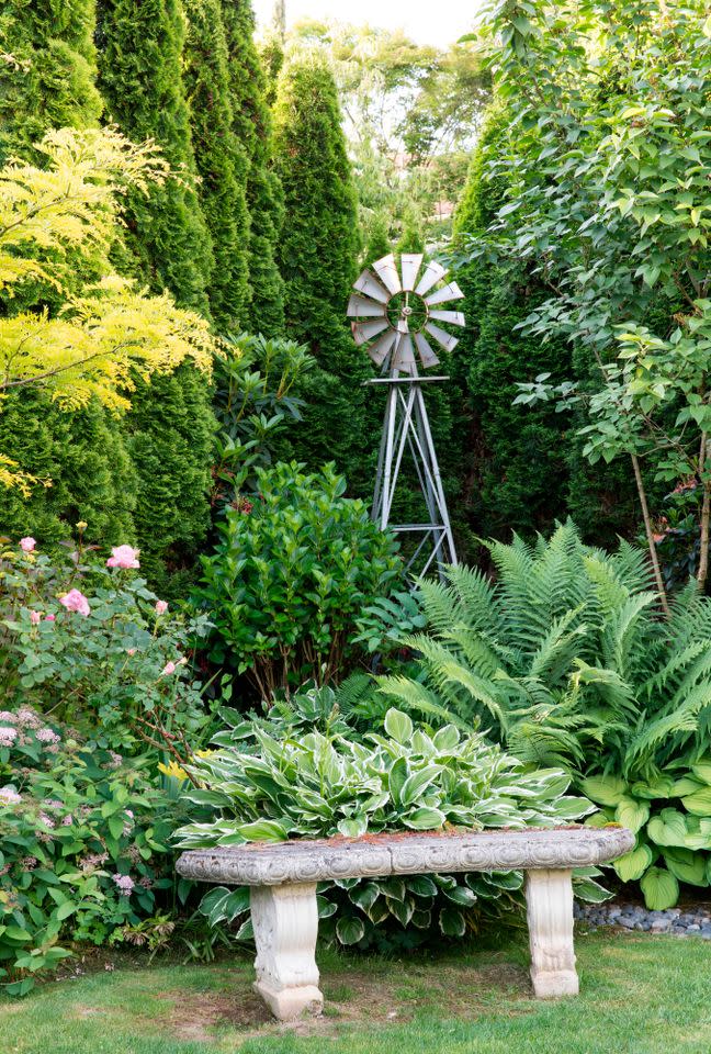 Credit: Laurie Black