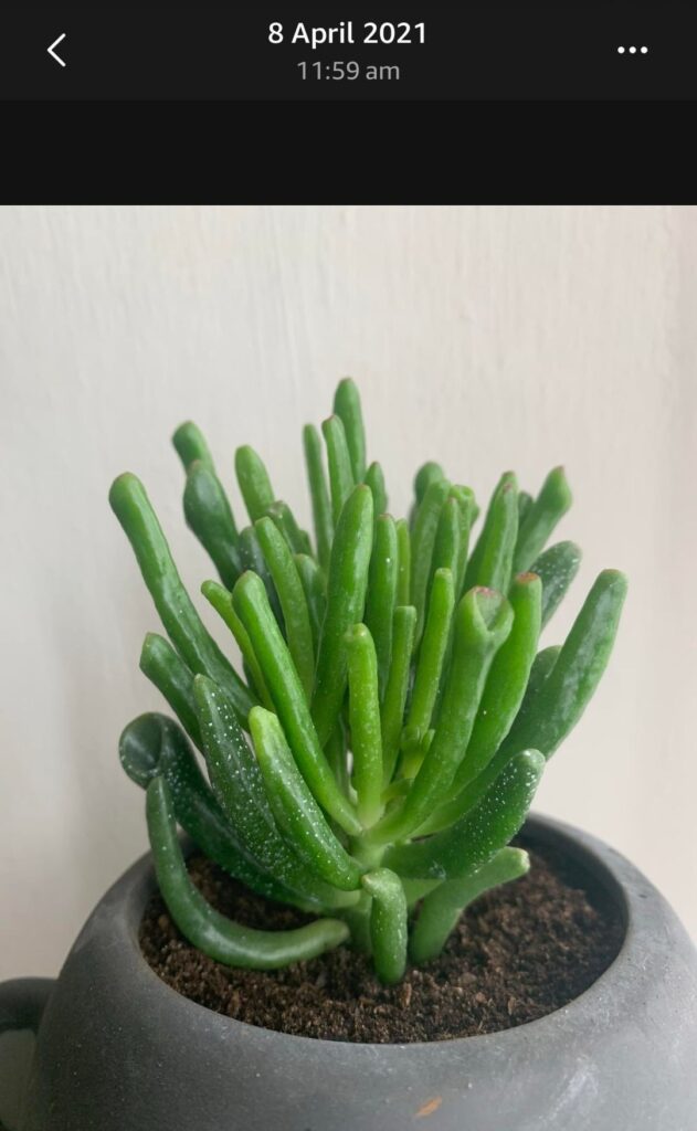 Five years of growth!