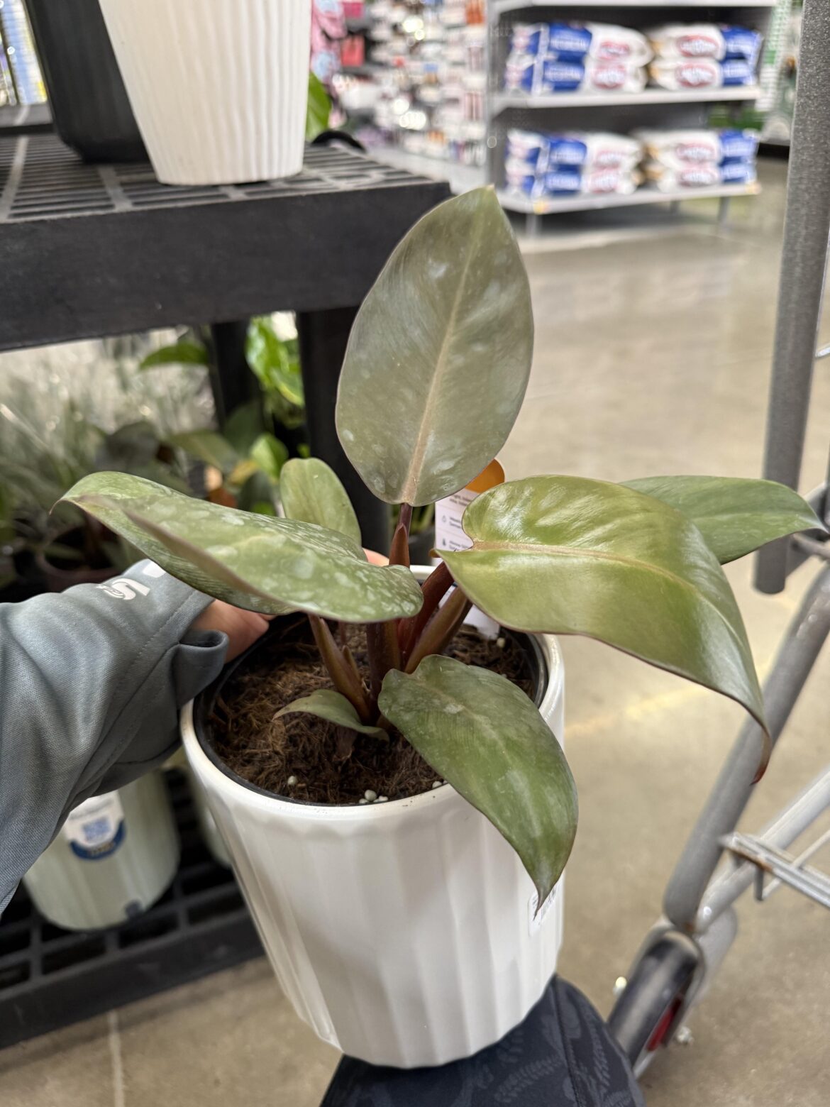 Does anyone know what this is?