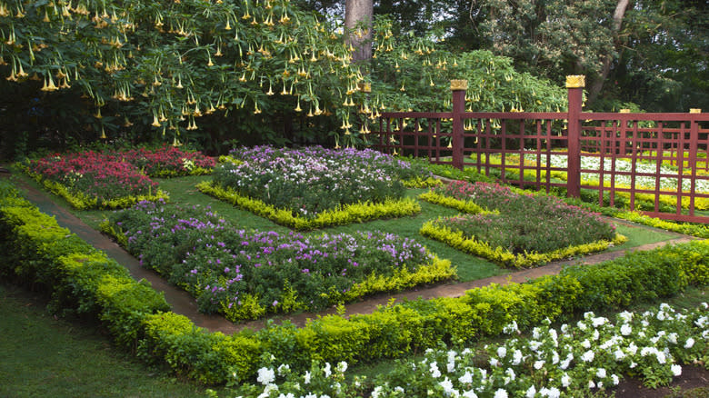 Well-maintained flower garden with living groundcover.